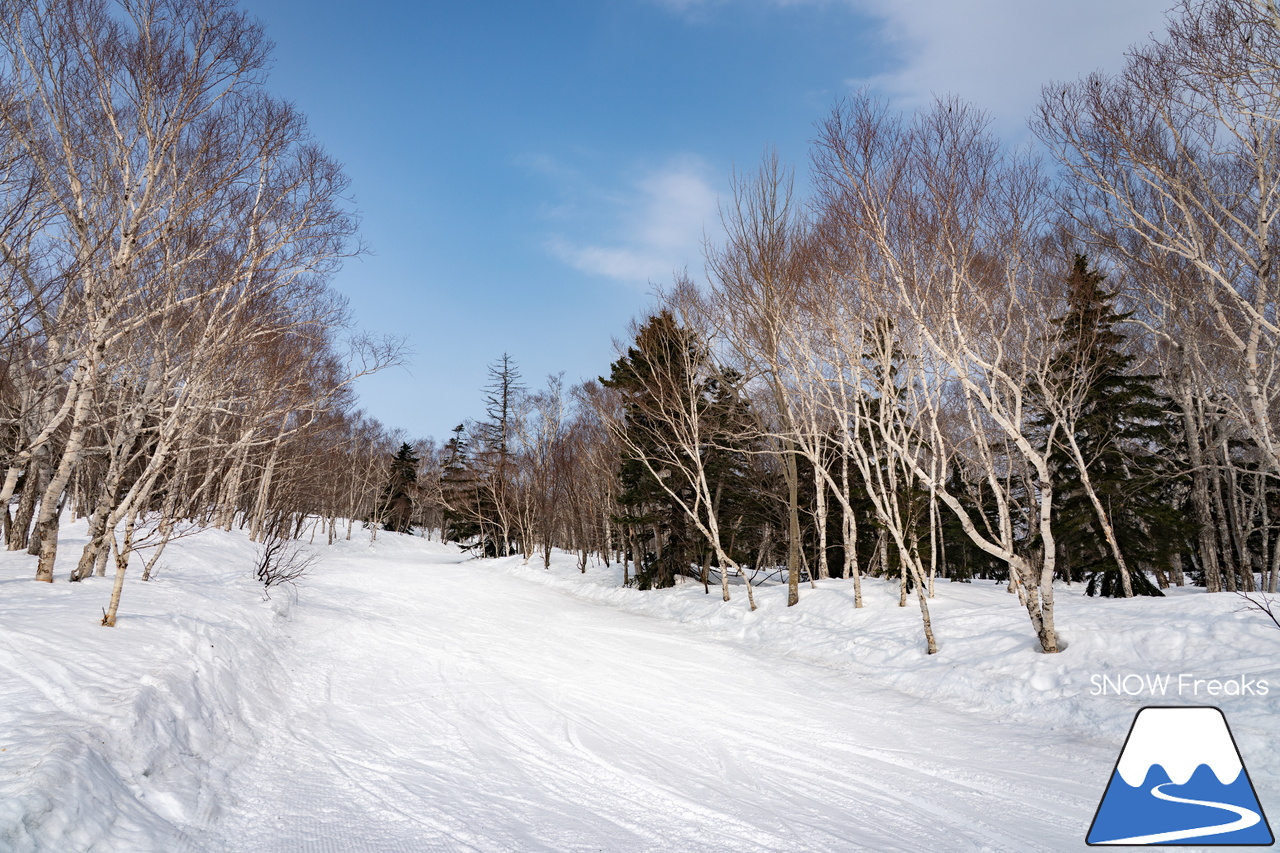 サッポロテイネ｜山頂積雪 285cm！絶好の春コンディションのゲレンデは、『アルペンスキー大会』『モーグル大会』『テイネ雪山祭り』『北海道米そり選手権2026』で大盛り上がり～(^^)v